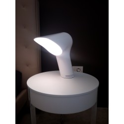 WHITE SISTER SOREWW11 de Nemo