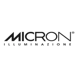 Micron