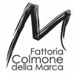 Fattoria Colmone